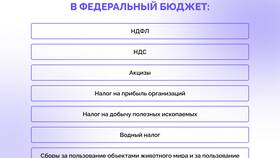 Что представляет собой НДФЛ в Орматек