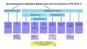 Что такое ООО: особенности организационно-правовой формы в Орматек