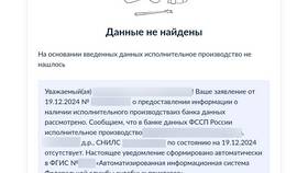 ФССП проверка задолженности: что это в Орматек