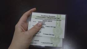 Как получить печатный СНИЛС в 2024 году в Орматек