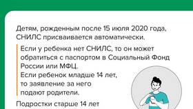 Как получить СНИЛС на ребенка в 2024 году в Орматек