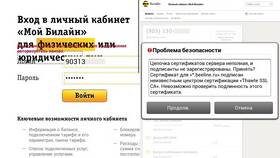 Как посмотреть личный кабинет Билайн в Орматек