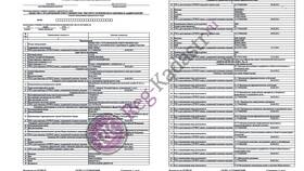 Как узнать выписку из ЕГРЮЛ по ИНН организации в Орматек