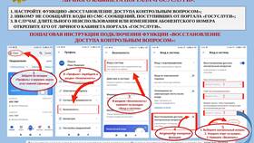 Как ввести паспортные данные на Госуслугах в Орматек