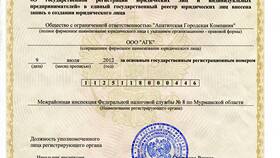 Как выглядит свидетельство ОГРН юридического лица в Орматек
