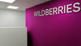 Почему на Wildberries стали платные доставки в Орматек