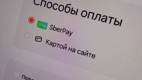 Причины платной доставки в Dodo Pizza в Орматек
