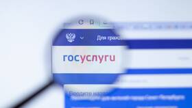 Сколько рассматривается заявление на Госуслугах в Орматек