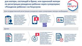 Сроки получения выписки через портал Госуслуги в Орматек