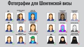 Виза типа C (Шенген): что это такое в Орматек