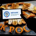 Добровольное пенсионное страхование для самозанятых: что это